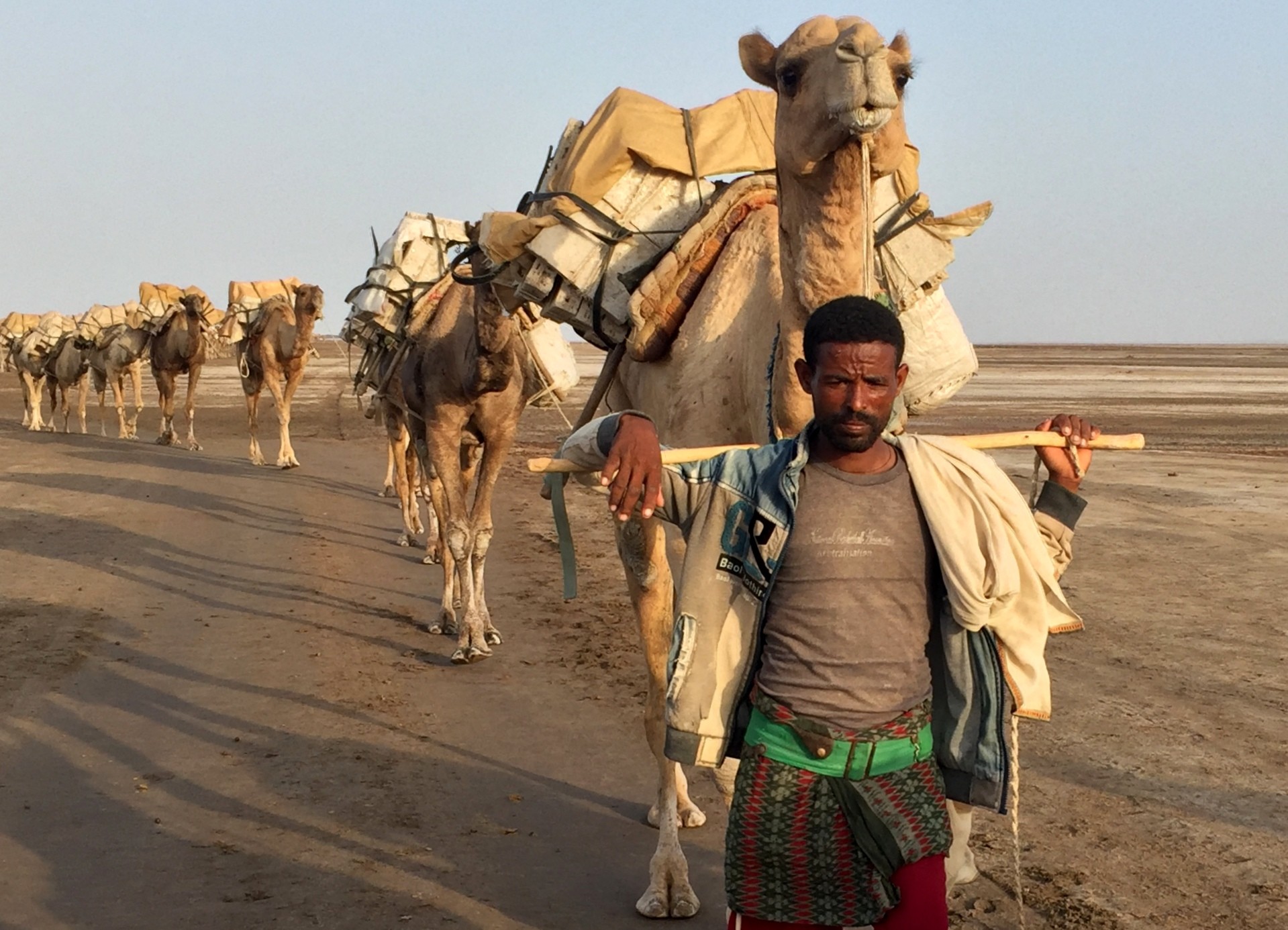 Camel Train Photo