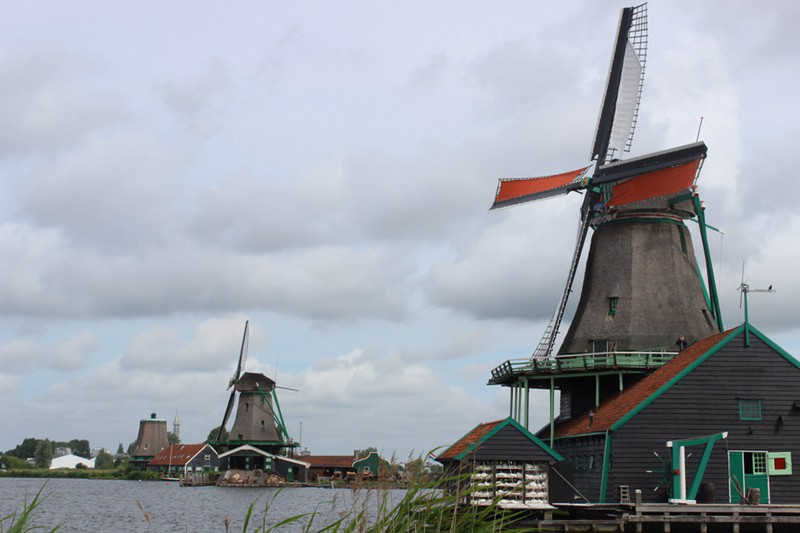 Windmills on a polder