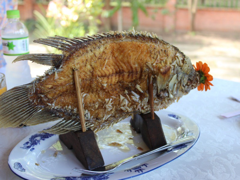 Deep-fried elephant ear fish