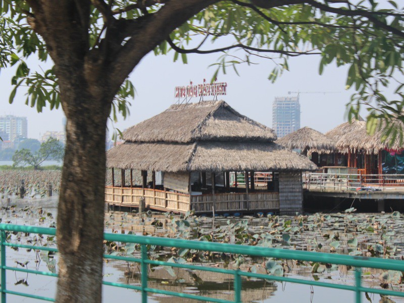 Stilt house and lotus farm on West Lake, Hanoi