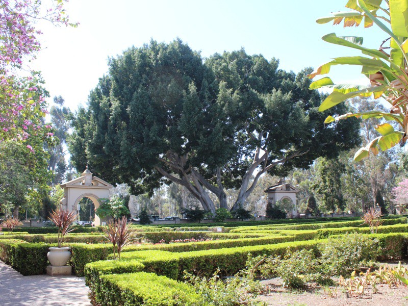 Gardens at Balboa Park, San Diego, CA