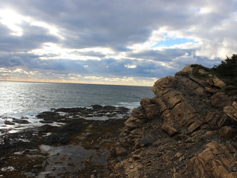 Rocks at Lobster Head Cove