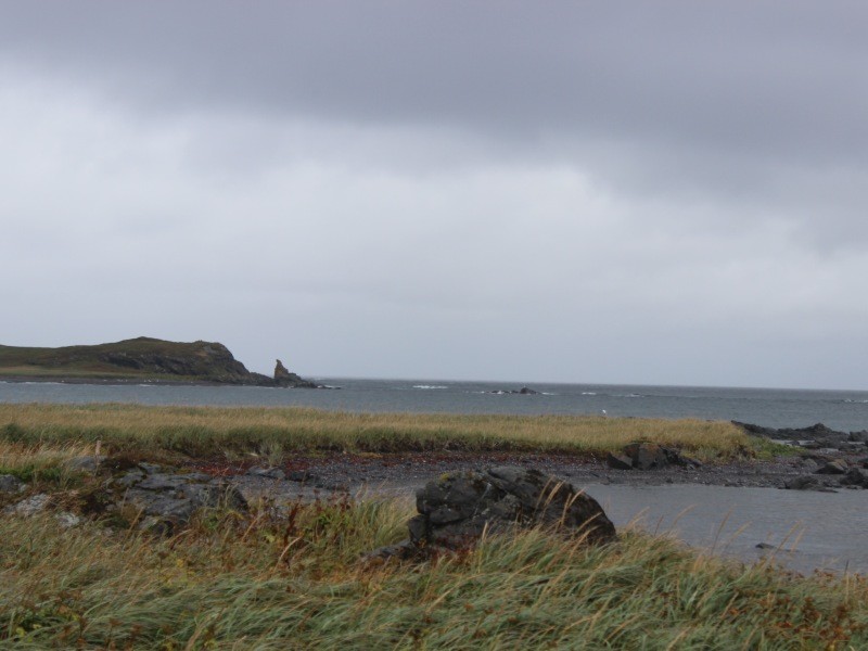 Looking north from L'Anse aux Meadows