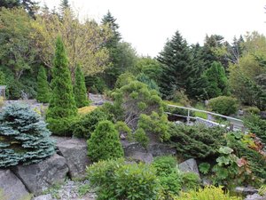MUN Botanical Gardens