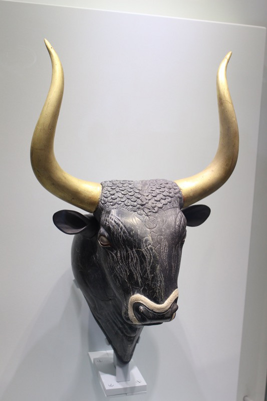 Bull head