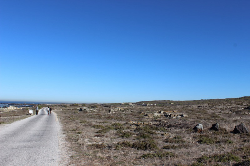 Robben Island landscape 