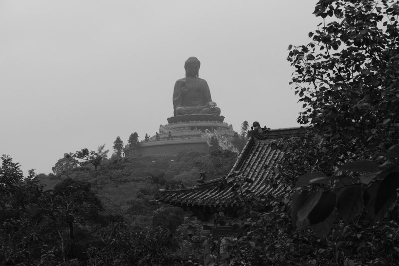 Buddha from afar