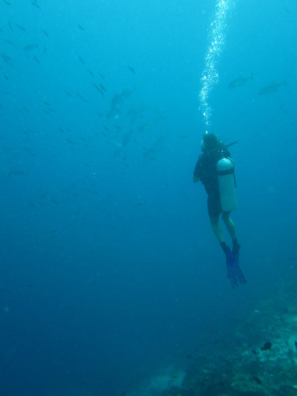 A happy 27th b-day for Amanda, Divers Heaven, Balicasag Island
