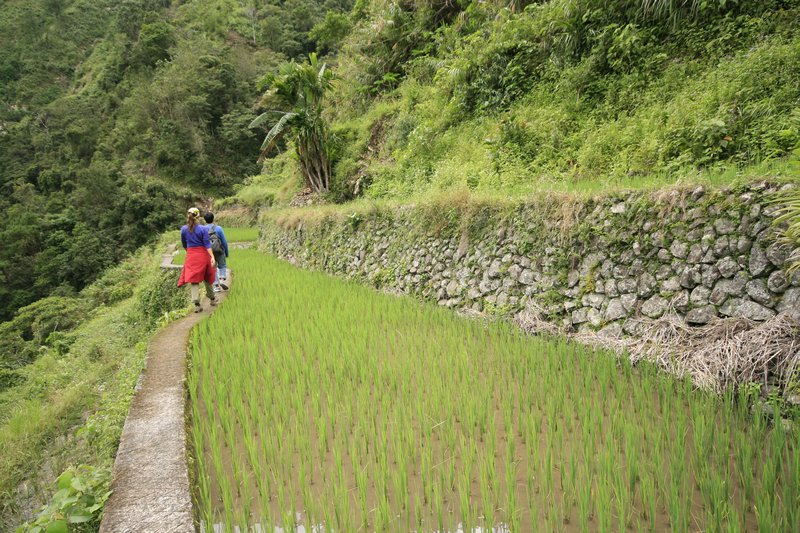 A two day adventure through the rice terraces of the Banaue-Batad region