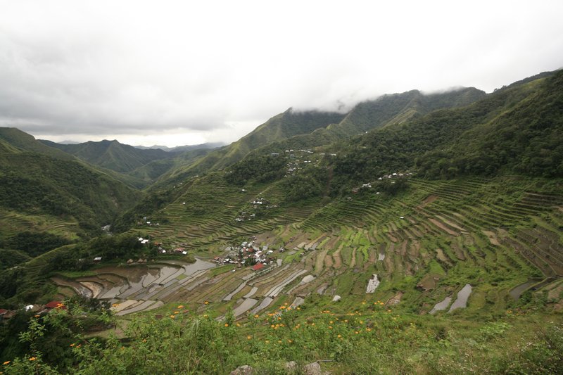 Rice paddies among Ifugao families are handed down from generation to generation. These paddies are estimated to be around 2000 years old