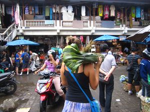 Getting palm leaves from the Ubud market