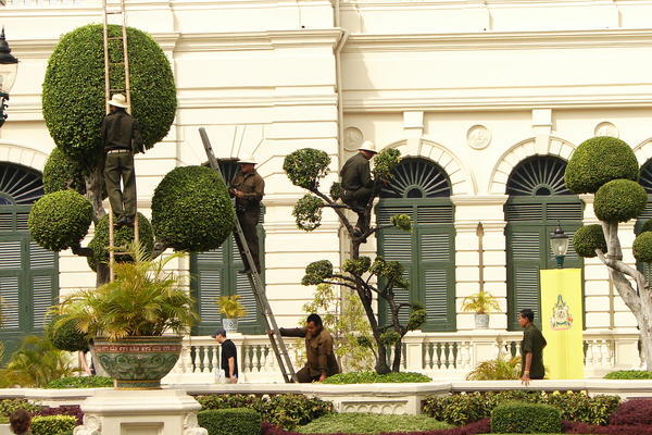 Grounds Keepers at the Palace