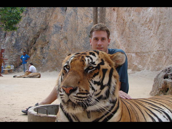 Jarrod & The Tiger