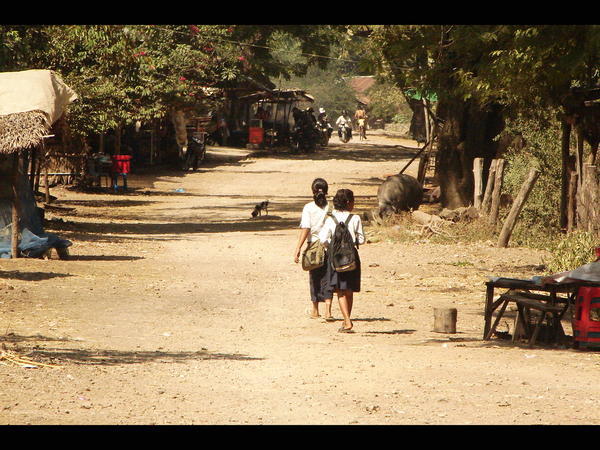 School Girls In Rural Battambang