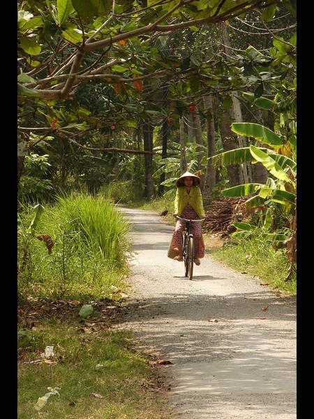 Biking the pathways