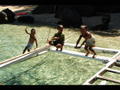 Kids Jumping Off The Boat At Apo Island