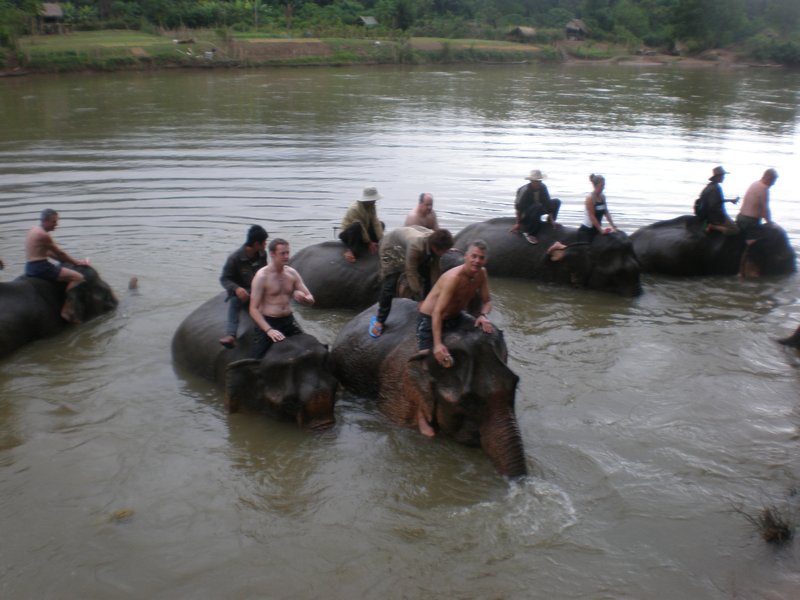 Bathing the Elephants