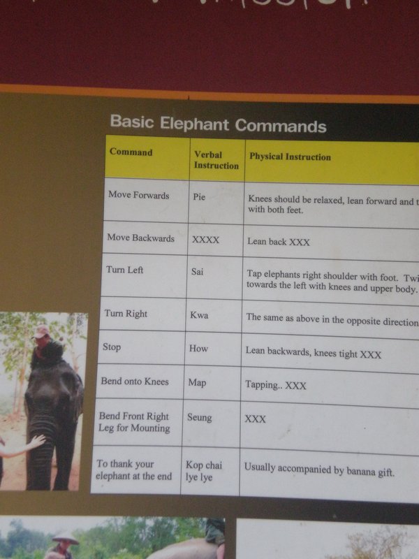 Elephant Commands