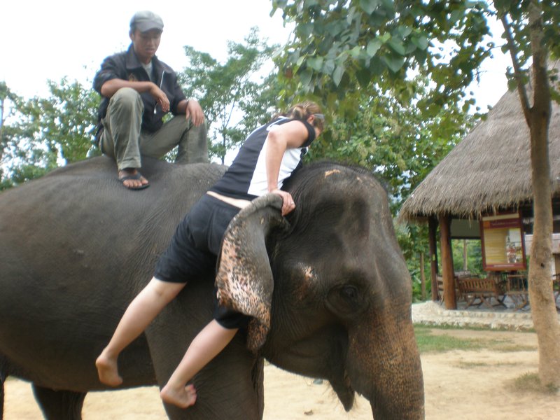 How to Mount an Elephant