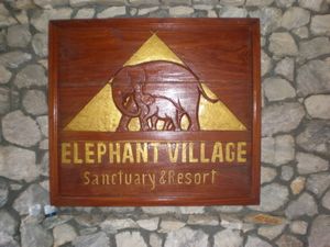The Elephant Village