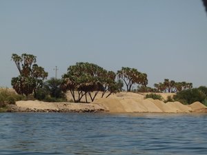 Banks of the Nile River