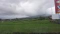 Mayon's Micro climate
