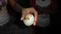 Balut - a local delicacy