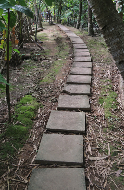 Mekong Delta Jungle path
