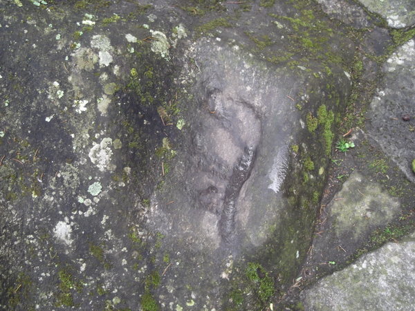 The Lama's Footprint