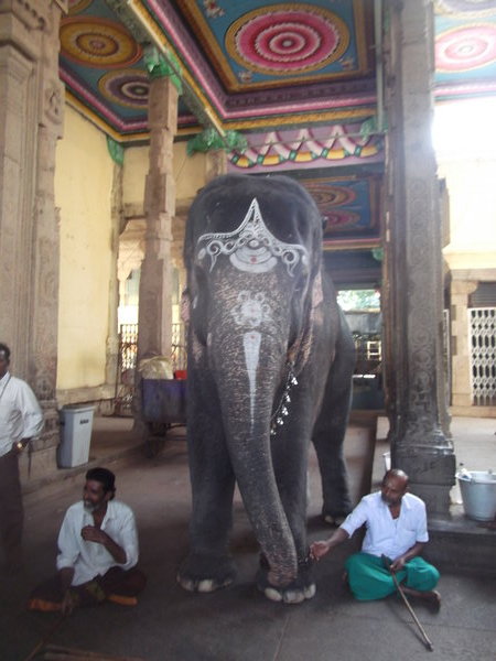 Meenakshi-Sundareswarar Elephant
