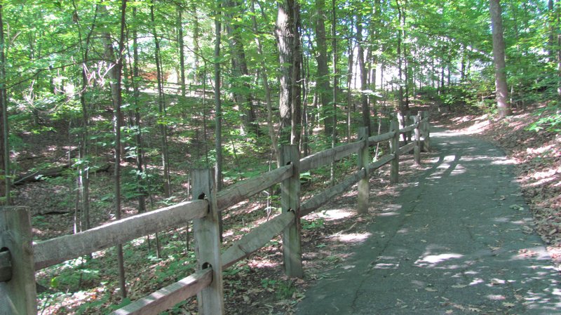 Trail up to the top of Lee's Hill
