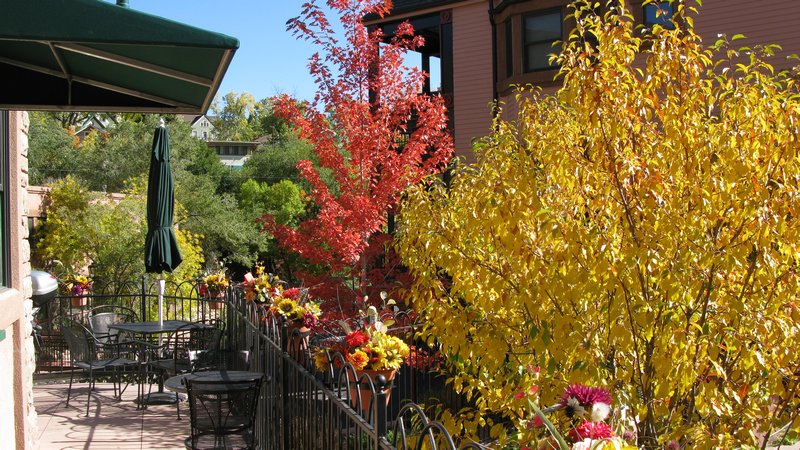 Fall colors on a terrace