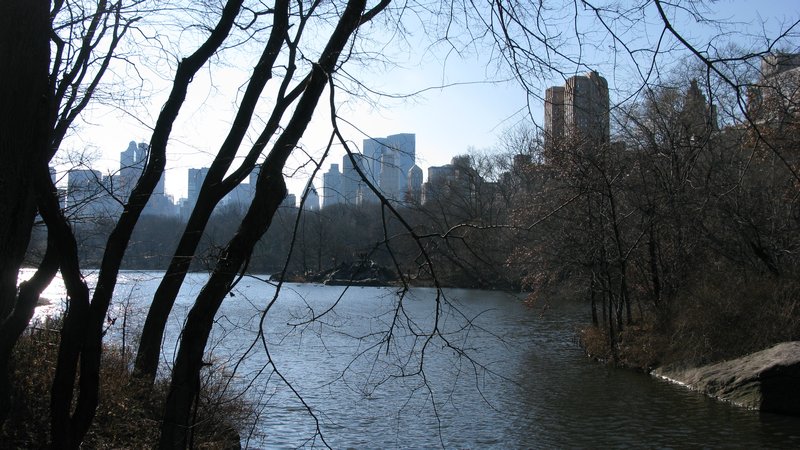 The Lake at Central Park