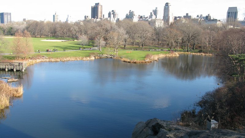 Turtle Pond and The Great Lawn from Belvedere Castle