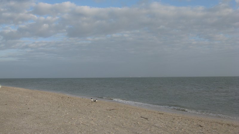 Magnolia beach