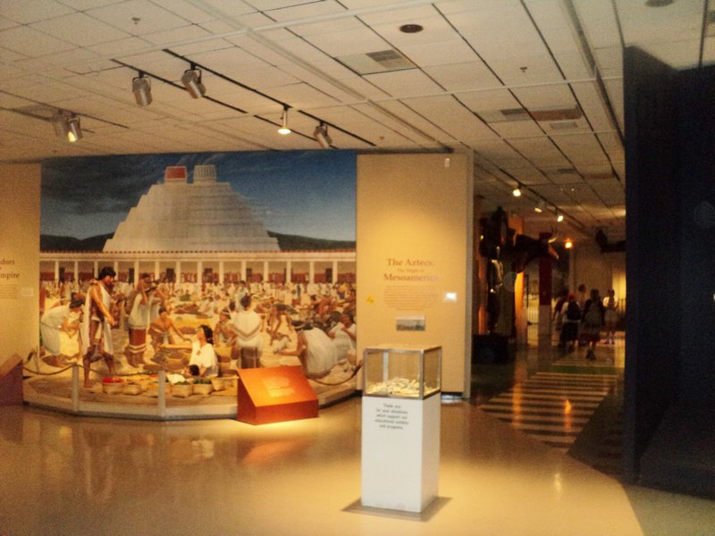 Museum of Science and History (5)