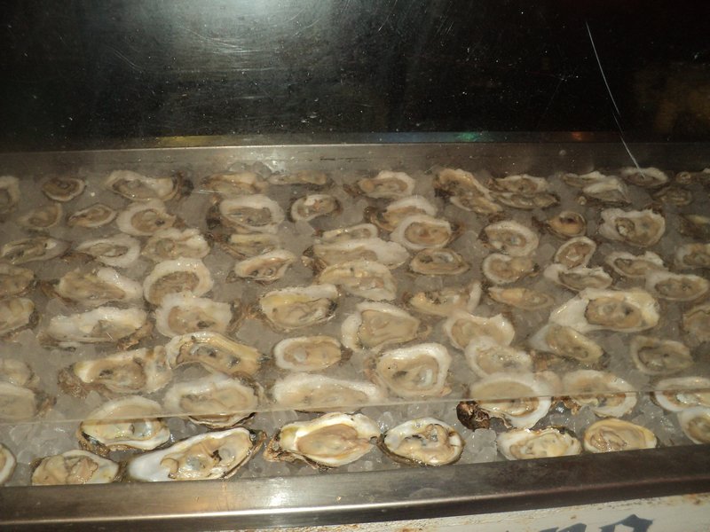 oysters at Moby Dicks
