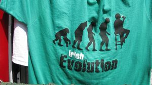 Irish evoloution