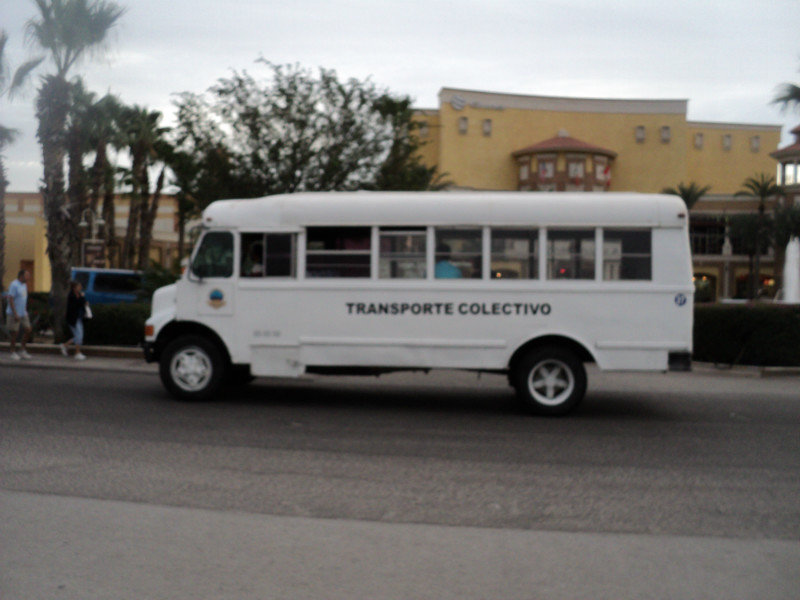 Transporte Collectivo Bus