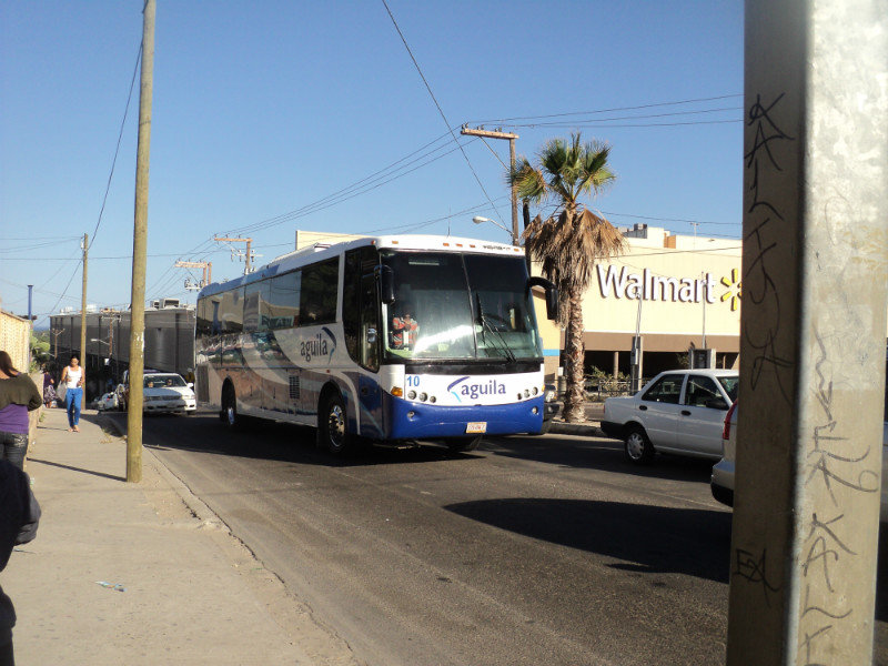 The Aguila Bus