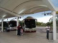 ADO buses at the airport