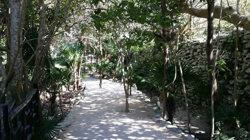 Well shaded path