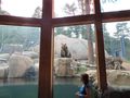 Cheyenne Mountain Zoo
