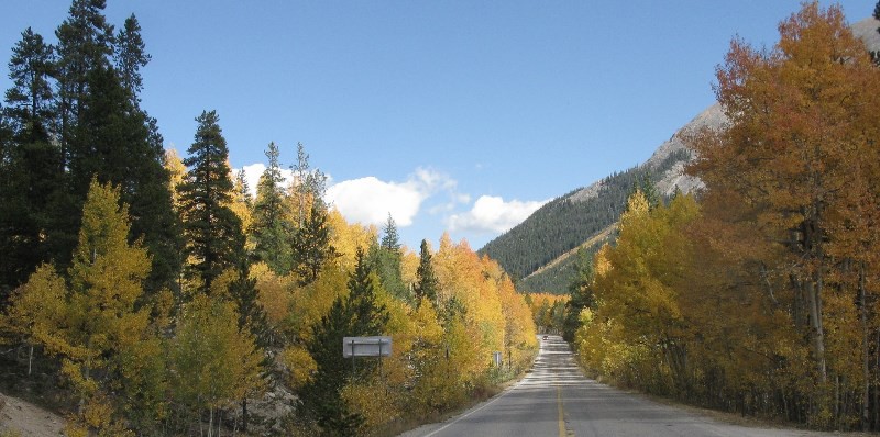 Fall colors on Indipendence pass
