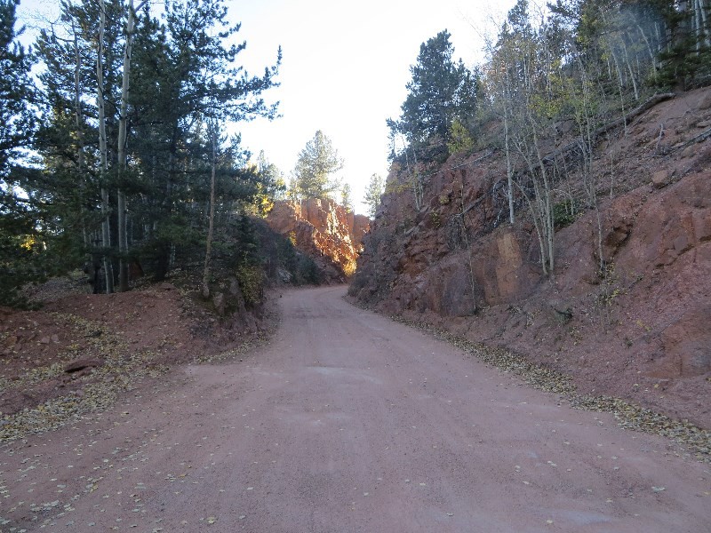 Gold Camp Road
