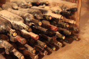 Wines of Mendoza