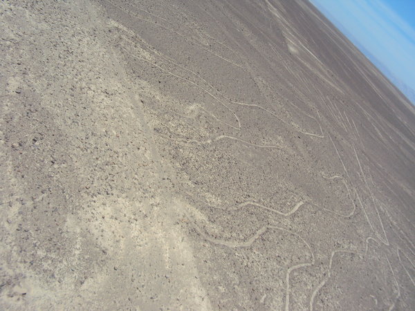 Nazca kresby/Nazca lines