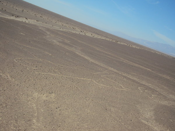 Nazca kresby/Nazca lines