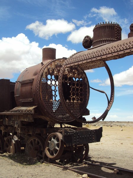 mlada lama a stara lokomotiva/ young lama and old locomotive