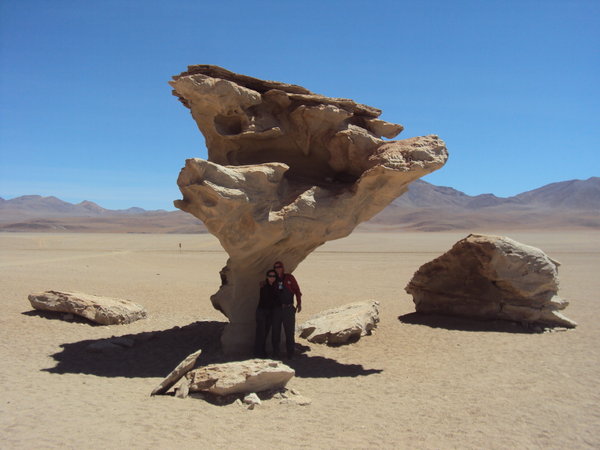 Arbol de Piedra